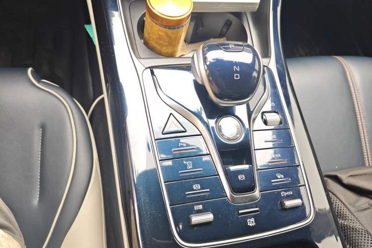 Used BYD Qin PLUS 2021 EV 400KM Luxury Model Gear Lever
