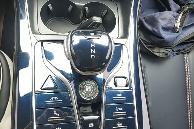 Used BYD Qin PLUS 2021 EV 500KM Premium Model Gear Lever