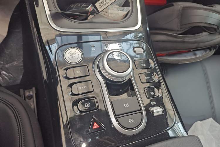 Used BYD Qin PLUS 2021 EV 400KM Leading Comfort Edition Gear Lever