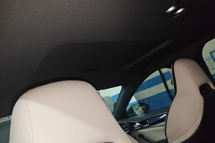 Used BYD Qin PLUS 2021 EV 500KM Luxury Model Headliner