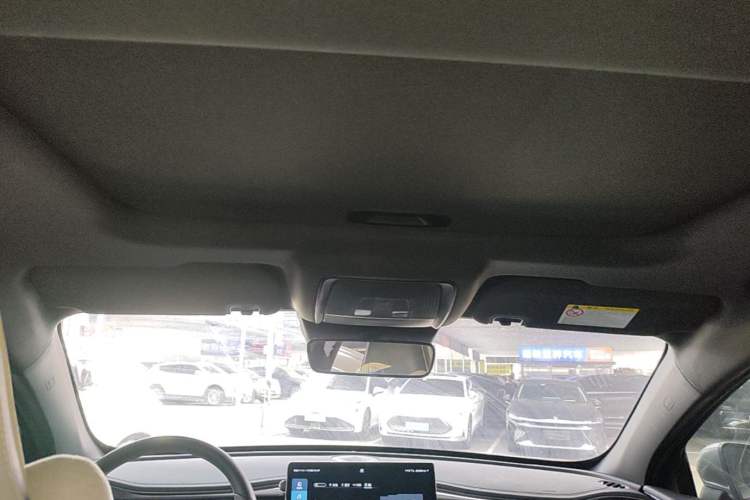Used BYD Qin PLUS 2021 EV 500KM Premium Model Headliner