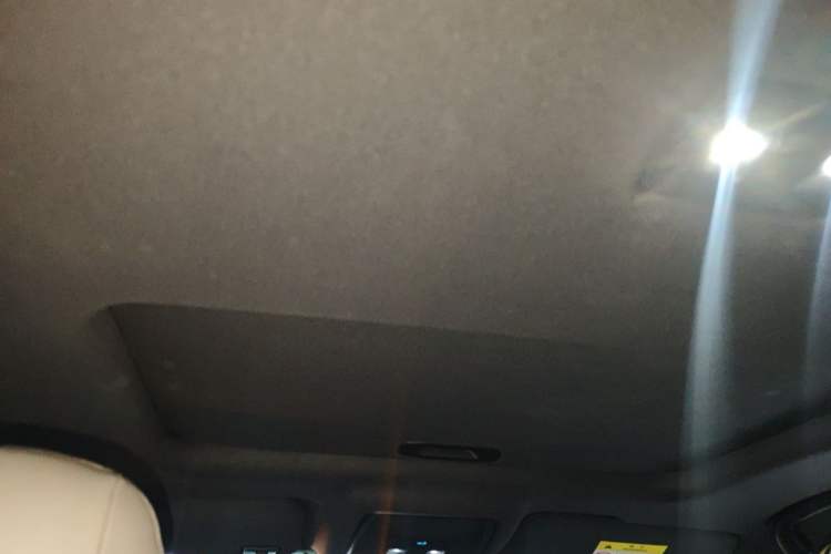 Used BYD Qin PLUS 2021 EV 500KM Luxury Model Headliner