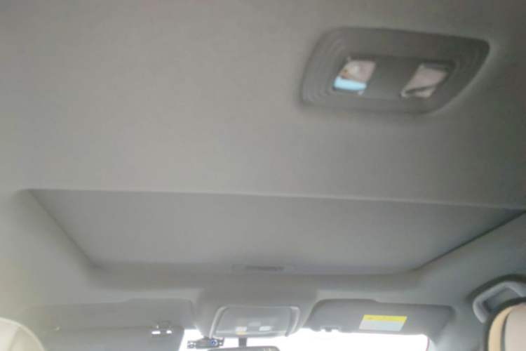 Used BYD Qin PLUS 2021 EV 500KM Luxury Model Headliner