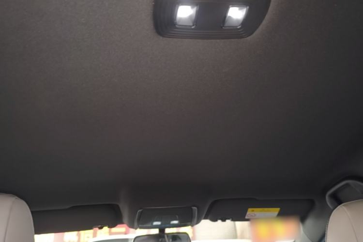 Used BYD Qin PLUS 2021 DM-i 55KM Prestige Model Headliner