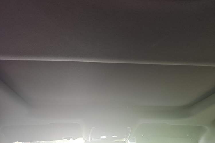 Used BYD Qin PLUS 2021 EV 600KM Flagship Model Headliner