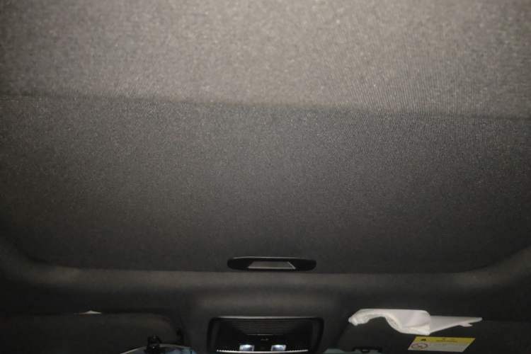 Used BYD Qin PLUS 2021 EV 500KM Luxury Model Headliner