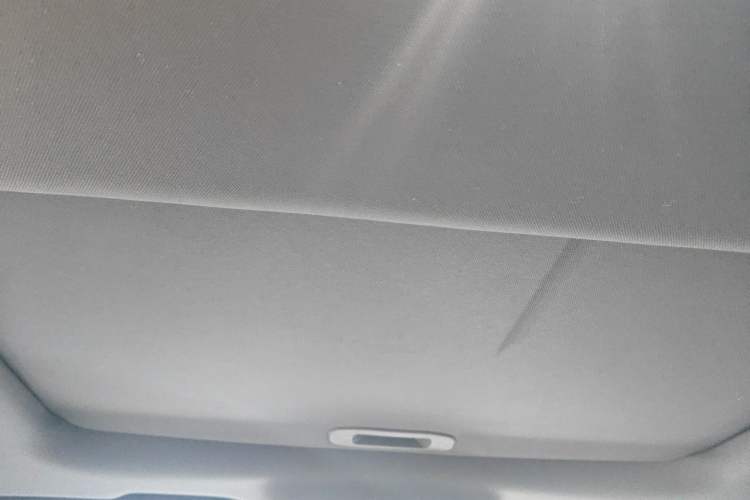 Used BYD Qin PLUS 2021 EV 400KM Luxury Model Headliner