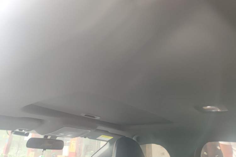Used BYD Qin PLUS 2021 EV 500KM Luxury Model Headliner