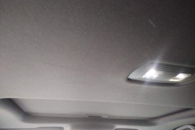 Used BYD Qin PLUS 2021 EV 500KM Premium Model Headliner