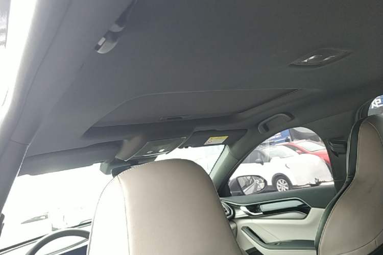Used BYD Qin PLUS 2021 EV 500KM Premium Model Headliner