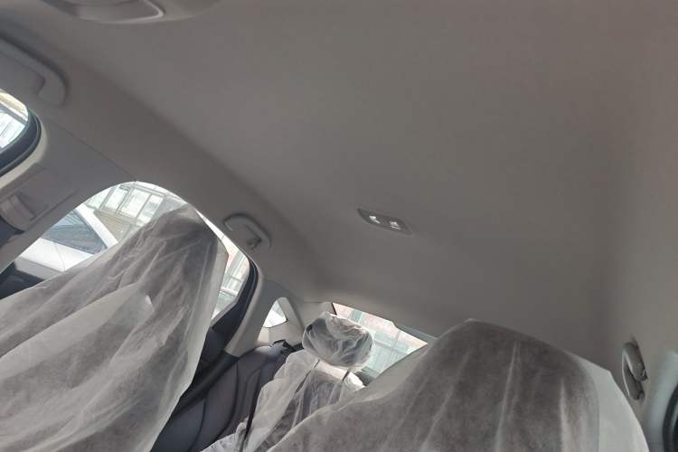 Used BYD Qin PLUS 2021 EV 400KM Leading Comfort Edition Headliner