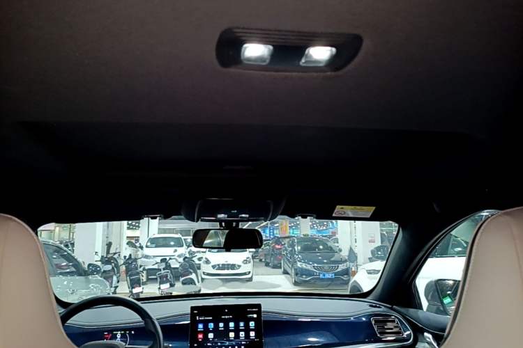 Used BYD Qin PLUS 2021 DM-i 55KM Flagship Model Headliner