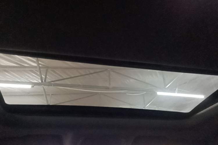 Used BYD Qin PLUS 2021 EV 500KM Luxury Model Headliner