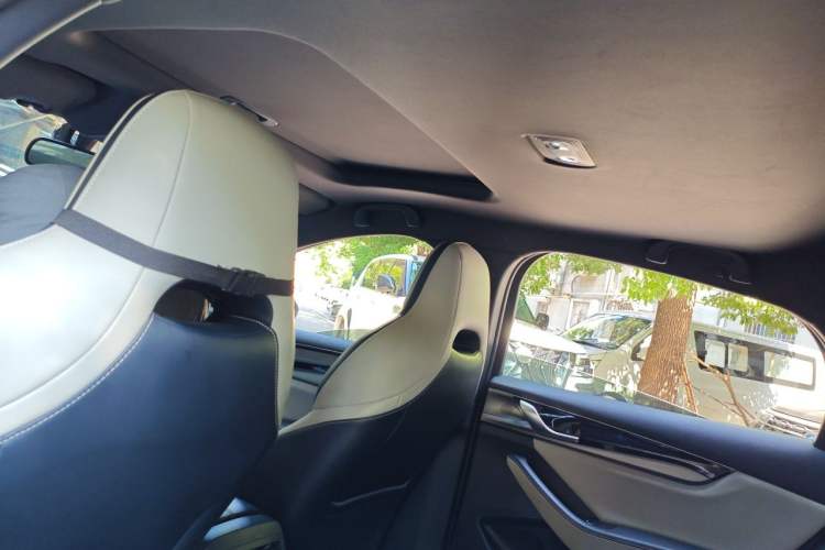Used BYD Qin PLUS 2021 EV 500KM Luxury Model Headliner