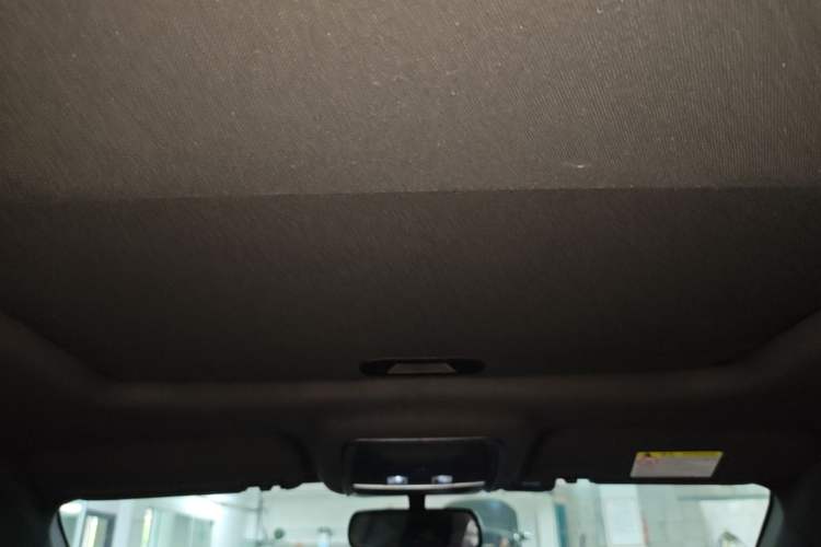 Used BYD Qin PLUS 2021 EV 500KM Luxury Model Headliner