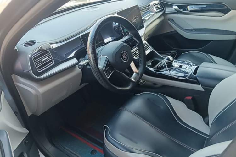 Used BYD Qin PLUS 2021 DM-i 55KM Flagship Model Left Front Seat