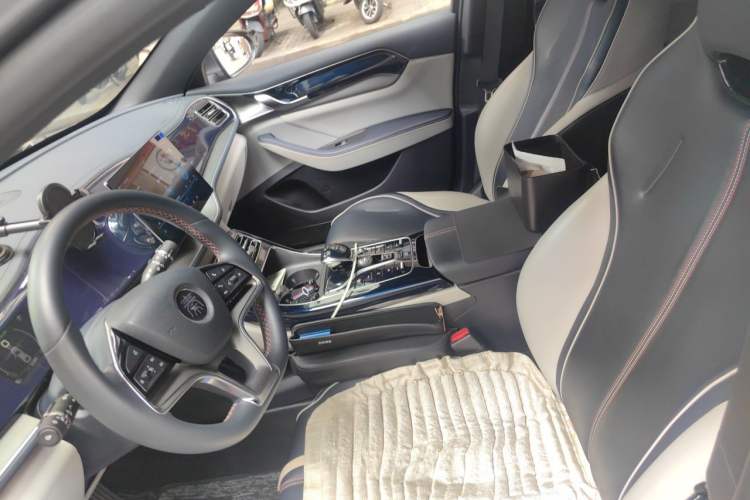 Used BYD Qin PLUS 2021 EV 500KM Luxury Model Left Front Seat