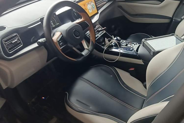 Used BYD Qin PLUS 2021 DM-i 55KM Flagship Model Left Front Seat