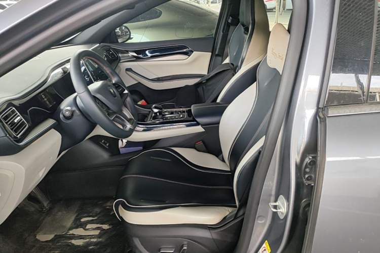 Used BYD Qin PLUS 2021 EV 500KM Premium Model Left Front Seat