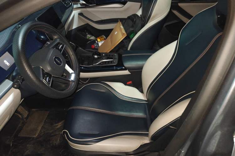 Used BYD Qin PLUS 2021 DM-i 120KM Prestige Model Left Front Seat