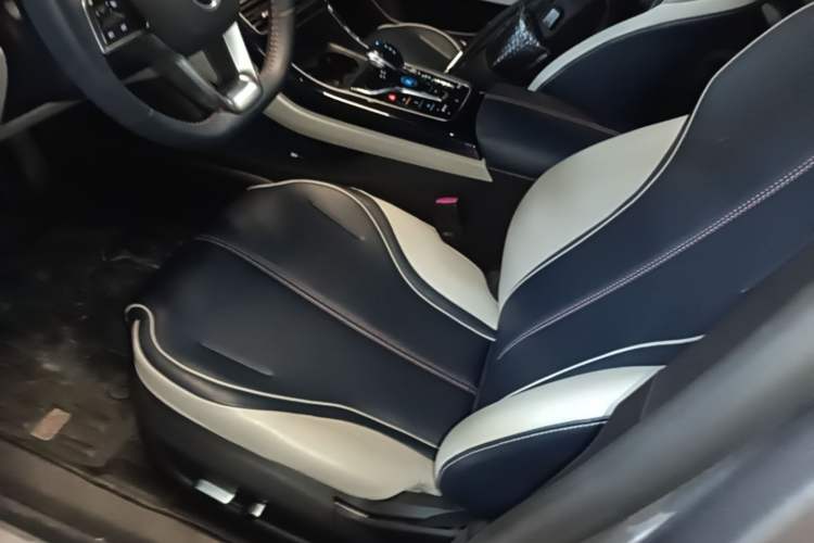 Used BYD Qin PLUS 2021 DM-i 55KM Flagship Model Left Front Seat