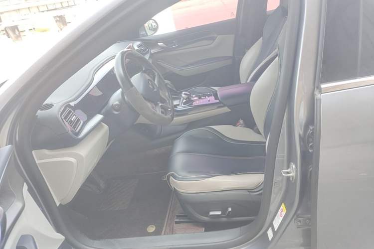 Used BYD Qin PLUS 2021 EV 600KM Flagship Model Left Front Seat