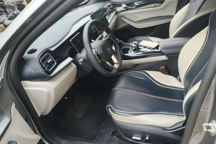 Used BYD Qin PLUS 2021 DM-i 55KM Flagship Model Left Front Seat