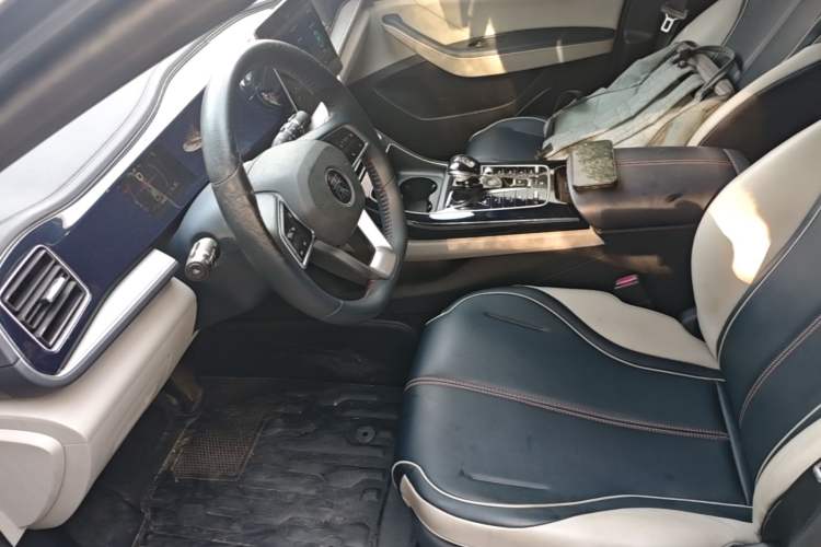 Used BYD Qin PLUS 2021 DM-i 55KM Flagship Model Left Front Seat