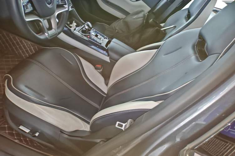 Used BYD Qin PLUS 2021 EV 500KM Luxury Model Left Front Seat