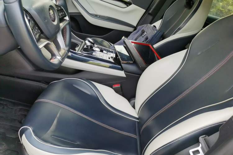 Used BYD Qin PLUS 2021 EV 500KM Luxury Model Left Front Seat