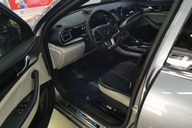Used BYD Qin PLUS 2021 EV 400KM Luxury Model Left Front Seat
