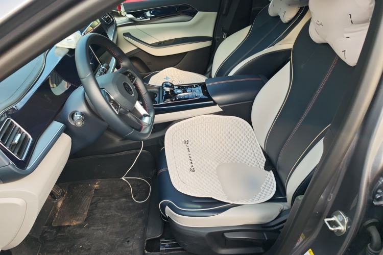 Used BYD Qin PLUS 2021 DM-i 120KM Prestige Model Left Front Seat