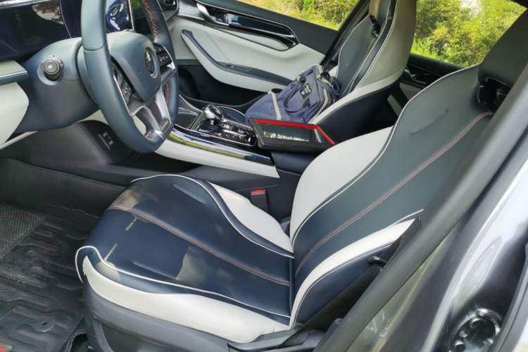 Used BYD Qin PLUS 2021 EV 500KM Luxury Model Left Front Seat
