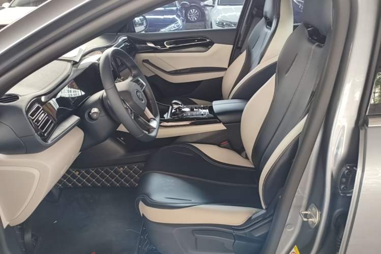Used BYD Qin PLUS 2021 DM-i 55KM Prestige Model Left Front Seat