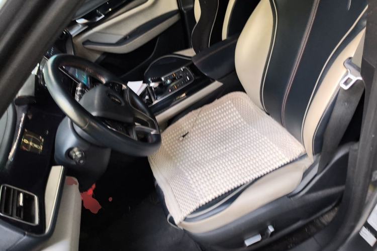 Used BYD Qin PLUS 2021 EV 500KM Luxury Model Left Front Seat