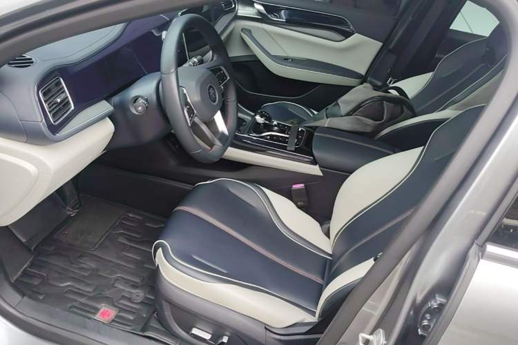 Used BYD Qin PLUS 2021 DM-i 55KM Flagship Model Left Front Seat