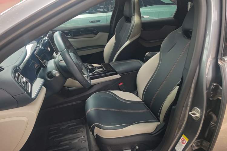 Used BYD Qin PLUS 2021 DM-i 55KM Flagship Model Left Front Seat