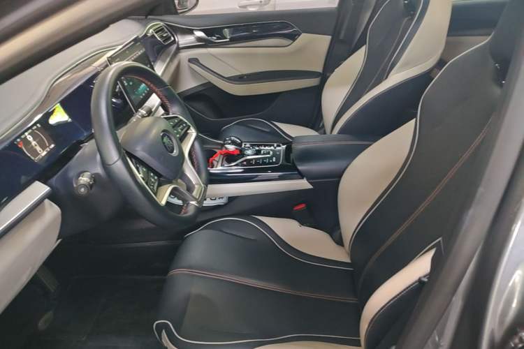 Used BYD Qin PLUS 2021 EV 500KM Luxury Model Left Front Seat