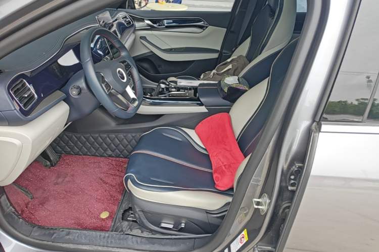 Used BYD Qin PLUS 2021 DM-i 55KM Flagship Model Left Front Seat