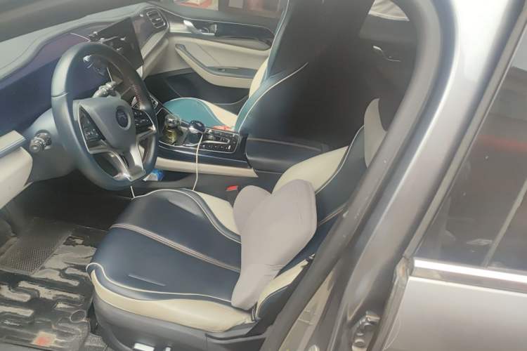 Used BYD Qin PLUS 2021 EV 500KM Luxury Model Left Front Seat