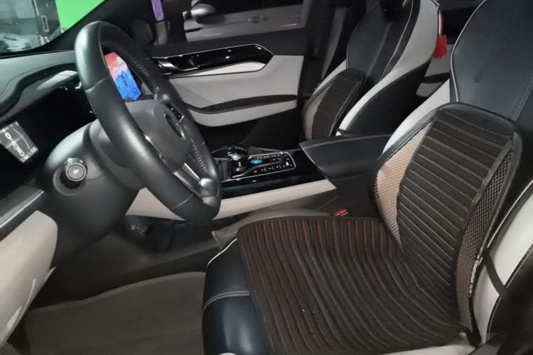 Used BYD Qin PLUS 2021 DM-i 55KM Flagship Model Left Front Seat