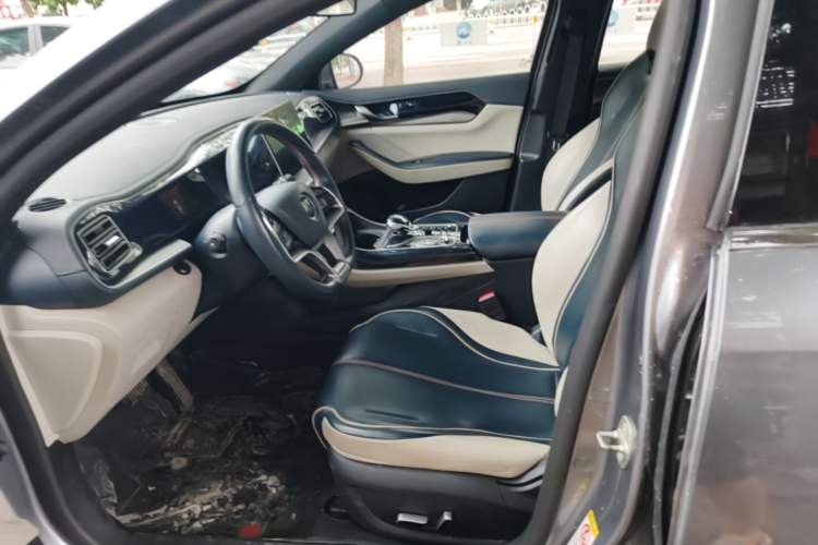 Used BYD Qin PLUS 2021 EV 400KM Luxury Model Left Front Seat