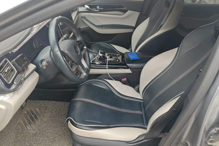 Used BYD Qin PLUS 2021 EV 600KM Flagship Model Left Front Seat