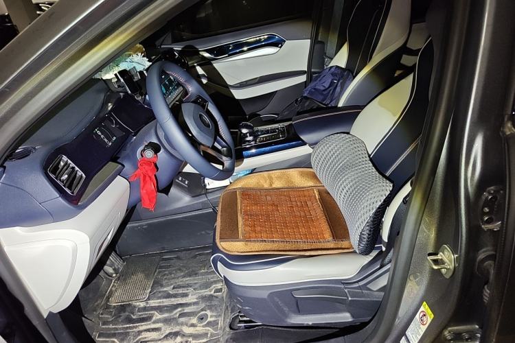 Used BYD Qin PLUS 2021 DM-i 120KM Prestige Model Left Front Seat
