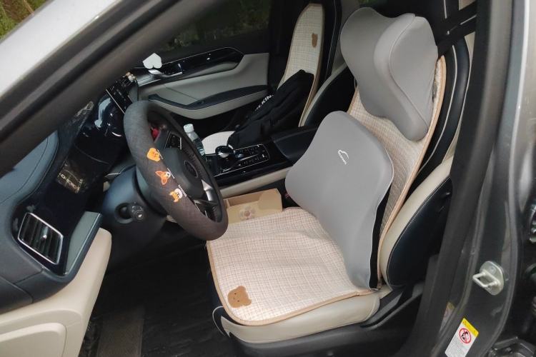 Used BYD Qin PLUS 2021 DM-i 55KM Flagship Model Left Front Seat