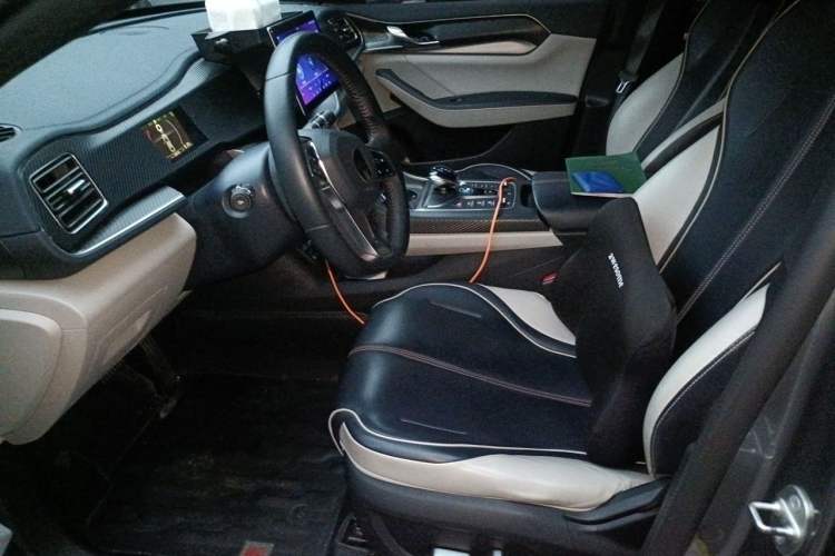 Used BYD Qin PLUS 2021 DM-i 55KM Flagship Model Left Front Seat