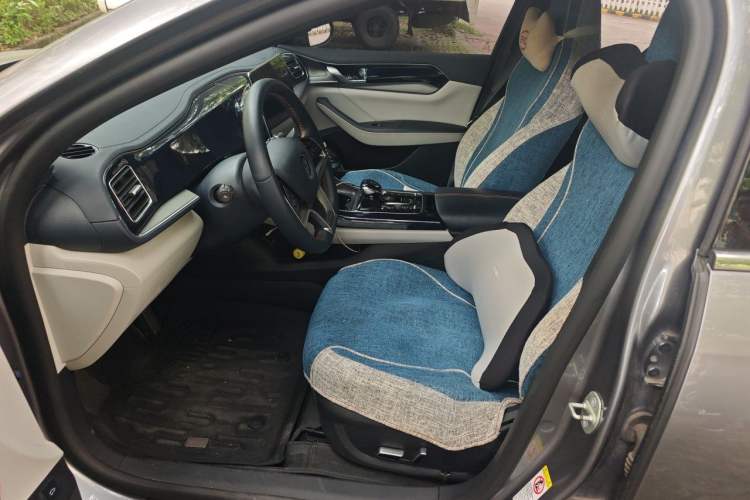 Used BYD Qin PLUS 2021 EV 600KM Flagship Model Left Front Seat