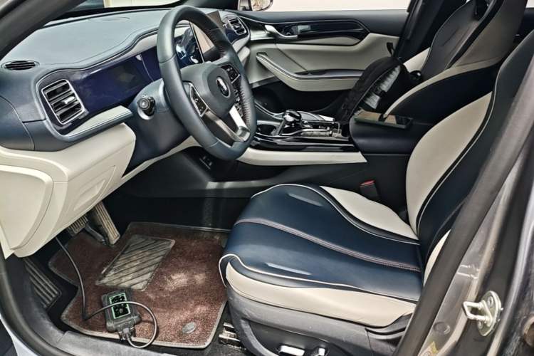 Used BYD Qin PLUS 2021 DM-i 55KM Flagship Model Left Front Seat