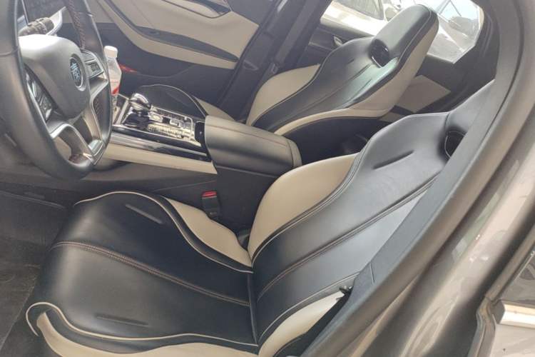 Used BYD Qin PLUS 2021 EV 400KM Luxury Model Left Front Seat