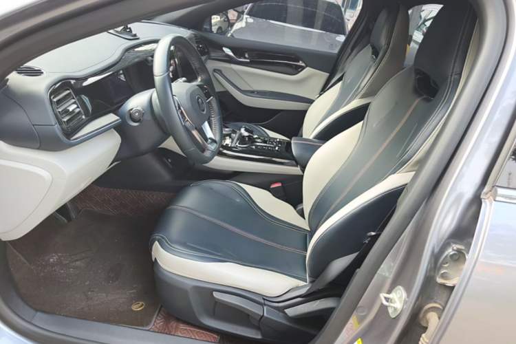 Used BYD Qin PLUS 2021 DM-i 55KM Prestige Model Left Front Seat
